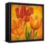 Orange Tulips I-David Pedersen-Framed Stretched Canvas