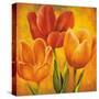 Orange Tulips I-David Pedersen-Stretched Canvas