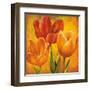 Orange Tulips I-David Pedersen-Framed Art Print