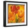 Orange Tulips I-David Pedersen-Framed Art Print