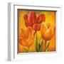 Orange Tulips I-David Pedersen-Framed Art Print