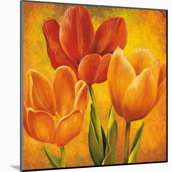 Orange Tulips I-David Pedersen-Mounted Art Print