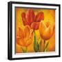 Orange Tulips I-David Pedersen-Framed Art Print