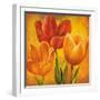 Orange Tulips I-David Pedersen-Framed Art Print