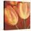 Orange Tulips II-Silvia Mei-Stretched Canvas