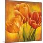 Orange Tulips II-David Pedersen-Mounted Art Print