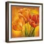 Orange Tulips II-David Pedersen-Framed Art Print