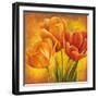 Orange Tulips II-David Pedersen-Framed Art Print