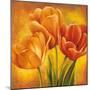 Orange Tulips II-David Pedersen-Mounted Art Print