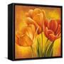 Orange Tulips II-David Pedersen-Framed Stretched Canvas