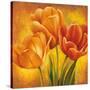 Orange Tulips II-David Pedersen-Stretched Canvas