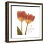 Orange Tulips Quoted-Albert Koetsier-Framed Premium Giclee Print