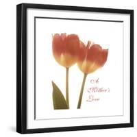 Orange Tulips Quoted-Albert Koetsier-Framed Premium Giclee Print