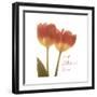 Orange Tulips Quoted-Albert Koetsier-Framed Premium Giclee Print