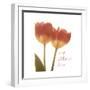 Orange Tulips Quoted-Albert Koetsier-Framed Premium Giclee Print