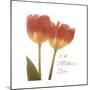 Orange Tulips Quoted-Albert Koetsier-Mounted Premium Giclee Print
