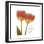 Orange Tulips Quoted-Albert Koetsier-Framed Premium Giclee Print