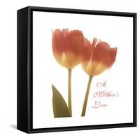 Orange Tulips Quoted-Albert Koetsier-Framed Stretched Canvas