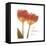 Orange Tulips Quoted-Albert Koetsier-Framed Stretched Canvas