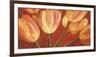 Orange Tulips-Silvia Mei-Framed Art Print