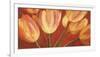 Orange Tulips-Silvia Mei-Framed Art Print