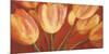 Orange Tulips-Silvia Mei-Mounted Art Print