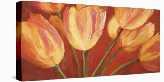 Orange Tulips-Silvia Mei-Stretched Canvas