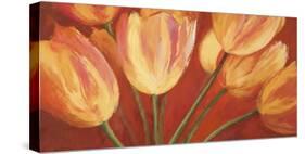 Orange Tulips-Silvia Mei-Stretched Canvas