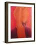 Orange Turban on Red-Lincoln Seligman-Framed Giclee Print