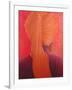 Orange Turban on Red-Lincoln Seligman-Framed Giclee Print