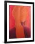 Orange Turban on Red-Lincoln Seligman-Framed Giclee Print