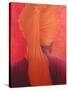 Orange Turban on Red-Lincoln Seligman-Stretched Canvas