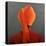 Orange Turban-Lincoln Seligman-Stretched Canvas