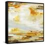 Orange Vapor-Jill Martin-Framed Stretched Canvas