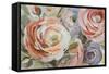 Orange & Violet Ranunculus-Lanie Loreth-Framed Stretched Canvas