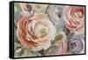 Orange & Violet Ranunculus-Lanie Loreth-Framed Stretched Canvas