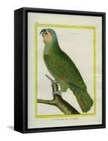 Orange-Winged Amazon-Georges-Louis Buffon-Framed Stretched Canvas