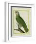 Orange-Winged Amazon-Georges-Louis Buffon-Framed Premium Giclee Print