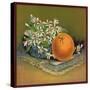 Orange with Flowers - Citrus Crate Label-Lantern Press-Stretched Canvas