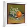 Orange with Flowers - Citrus Crate Label-Lantern Press-Framed Art Print