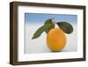 Orange with Leaves on Light Blue Background-Foodcollection-Framed Photographic Print