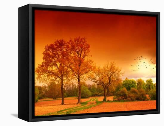 Orange World-Philippe Sainte-Laudy-Framed Stretched Canvas