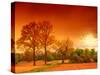 Orange World-Philippe Sainte-Laudy-Stretched Canvas