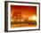 Orange World-Philippe Sainte-Laudy-Framed Premium Photographic Print