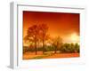 Orange World-Philippe Sainte-Laudy-Framed Premium Photographic Print