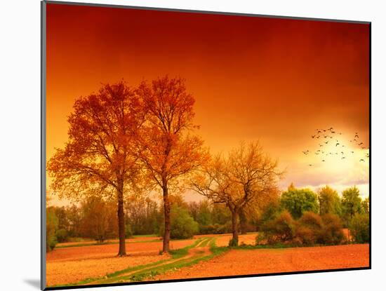 Orange World-Philippe Sainte-Laudy-Mounted Premium Photographic Print