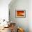 Orange World-Philippe Sainte-Laudy-Framed Photographic Print displayed on a wall