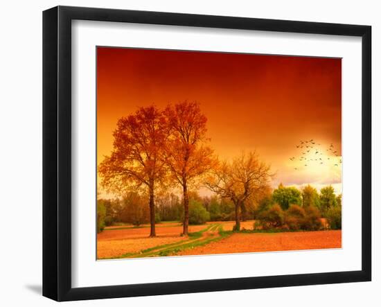 Orange World-Philippe Sainte-Laudy-Framed Photographic Print