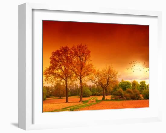 Orange World-Philippe Sainte-Laudy-Framed Photographic Print