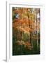 Orange Yellow Fall Vertical 9840-Robert Goldwitz-Framed Photographic Print